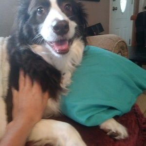 Meet your Posher, April